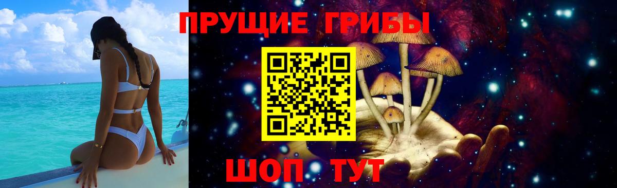 Псилоцибиновые грибы Psilocybine cubensis Усинск